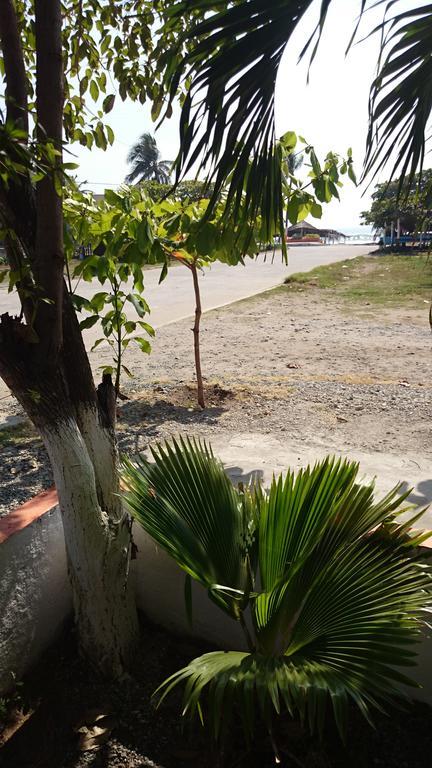 Bungalows Delfin Hotel ปลายาอาซูล ภายนอก รูปภาพ